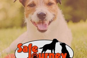 Top Dog Boarding in Portland, OR: Your Dog's Home Away! Safem Fabrication - Precision Engineering & Custom Manufacturing Solutions Top Dog Boarding in Portland, OR: Your Dog's Home Away! | Safem Fabrication - Precision Engineering & Custom Manufacturing Solutions