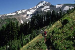 Easy Escapes: Best Hikes Near Portland, Oregon + Tips Safem Fabrication - Precision Engineering & Custom Manufacturing Solutions Easy Escapes: Best Hikes Near Portland, Oregon + Tips | Safem Fabrication - Precision Engineering & Custom Manufacturing Solutions
