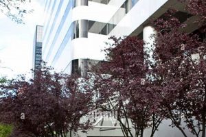 PacWest Center Portland: Premier Oregon Office Space Safem Fabrication - Precision Engineering & Custom Manufacturing Solutions PacWest Center Portland: Premier Oregon Office Space | Safem Fabrication - Precision Engineering & Custom Manufacturing Solutions