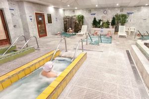 Find a Korean Spa in Portland, OR: Your Guide Safem Fabrication - Precision Engineering & Custom Manufacturing Solutions Find a Korean Spa in Portland, OR: Your Guide | Safem Fabrication - Precision Engineering & Custom Manufacturing Solutions
