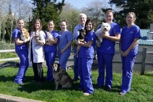 Find: Lincoln City Animal Clinic, Oregon - Pet Care! Safem Fabrication - Precision Engineering & Custom Manufacturing Solutions Find: Lincoln City Animal Clinic, Oregon - Pet Care! | Safem Fabrication - Precision Engineering & Custom Manufacturing Solutions