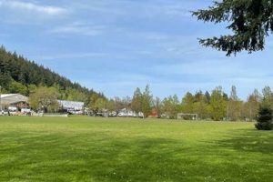Visit Ed Benedict Park Portland Oregon: A Local's Guide Safem Fabrication - Precision Engineering & Custom Manufacturing Solutions Visit Ed Benedict Park Portland Oregon: A Local's Guide | Safem Fabrication - Precision Engineering & Custom Manufacturing Solutions
