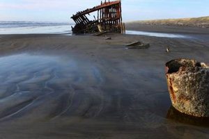 Trip: Fort Stevens State Park to Newport Oregon Coast Safem Fabrication - Precision Engineering & Custom Manufacturing Solutions Trip: Fort Stevens State Park to Newport Oregon Coast | Safem Fabrication - Precision Engineering & Custom Manufacturing Solutions