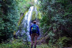 Best Hiking Near Eugene, Oregon: Trails & Tips Safem Fabrication - Precision Engineering & Custom Manufacturing Solutions Best Hiking Near Eugene, Oregon: Trails & Tips | Safem Fabrication - Precision Engineering & Custom Manufacturing Solutions