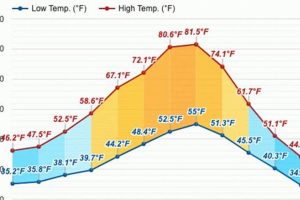 Portland's June Weather: What to Expect in Portland Oregon in June Safem Fabrication - Precision Engineering & Custom Manufacturing Solutions Portland's June Weather: What to Expect in Portland Oregon in June | Safem Fabrication - Precision Engineering & Custom Manufacturing Solutions