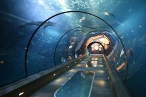 Unleash Creativity: Oregon Coast Aquarium Art for All Ages! Safem Fabrication - Precision Engineering & Custom Manufacturing Solutions Unleash Creativity: Oregon Coast Aquarium Art for All Ages! | Safem Fabrication - Precision Engineering & Custom Manufacturing Solutions