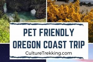 Your Guide: Pet Friendly Oregon Coast Adventures & Tips Safem Fabrication - Precision Engineering & Custom Manufacturing Solutions Your Guide: Pet Friendly Oregon Coast Adventures & Tips | Safem Fabrication - Precision Engineering & Custom Manufacturing Solutions