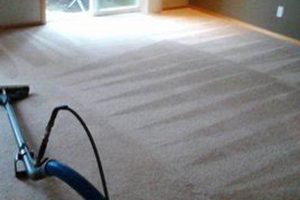 Expert Rug Cleaning Eugene Oregon: Revive Your Rugs! Safem Fabrication - Precision Engineering & Custom Manufacturing Solutions Expert Rug Cleaning Eugene Oregon: Revive Your Rugs! | Safem Fabrication - Precision Engineering & Custom Manufacturing Solutions