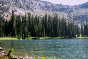 Discover Bear Lake, Oregon: A Klamath County Gem! Safem Fabrication - Precision Engineering & Custom Manufacturing Solutions Discover Bear Lake, Oregon: A Klamath County Gem! | Safem Fabrication - Precision Engineering & Custom Manufacturing Solutions