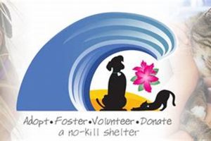 Florence's Oregon Coast Humane Society: Adopt, Volunteer & More! Safem Fabrication - Precision Engineering & Custom Manufacturing Solutions Florence's Oregon Coast Humane Society: Adopt, Volunteer & More! | Safem Fabrication - Precision Engineering & Custom Manufacturing Solutions