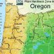Portland's Growing Zones: Thriving Gardens in Oregon | Living in Oregon: Moving Tips, Cost of Living & Best Cities