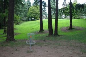 Play Oregon Park Disc Golf Parks: Courses & More! Safem Fabrication - Precision Engineering & Custom Manufacturing Solutions Play Oregon Park Disc Golf Parks: Courses & More! | Safem Fabrication - Precision Engineering & Custom Manufacturing Solutions