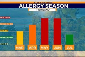 Bend, OR: Today's Pollen Count + Allergy Tips Safem Fabrication - Precision Engineering & Custom Manufacturing Solutions Bend, OR: Today's Pollen Count + Allergy Tips | Safem Fabrication - Precision Engineering & Custom Manufacturing Solutions