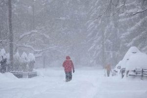 Winter in Eugene: When Snow Hits Oregon's Emerald City Safem Fabrication - Precision Engineering & Custom Manufacturing Solutions Winter in Eugene: When Snow Hits Oregon's Emerald City | Safem Fabrication - Precision Engineering & Custom Manufacturing Solutions