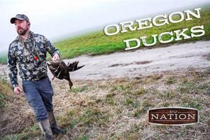 Ultimate Duck Season Oregon Guide | Tips & Dates Safem Fabrication - Precision Engineering & Custom Manufacturing Solutions Ultimate Duck Season Oregon Guide | Tips & Dates | Safem Fabrication - Precision Engineering & Custom Manufacturing Solutions