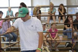 Your Guide: Jackson County Fair, Medford OR + Tips Safem Fabrication - Precision Engineering & Custom Manufacturing Solutions Your Guide: Jackson County Fair, Medford OR + Tips | Safem Fabrication - Precision Engineering & Custom Manufacturing Solutions