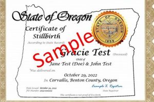 Find State of Oregon Divorce Records: Access & Info Safem Fabrication - Precision Engineering & Custom Manufacturing Solutions Find State of Oregon Divorce Records: Access & Info | Safem Fabrication - Precision Engineering & Custom Manufacturing Solutions