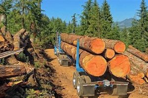 Find Top Logging Jobs in Oregon: Career Guide + Openings Safem Fabrication - Precision Engineering & Custom Manufacturing Solutions Find Top Logging Jobs in Oregon: Career Guide + Openings | Safem Fabrication - Precision Engineering & Custom Manufacturing Solutions