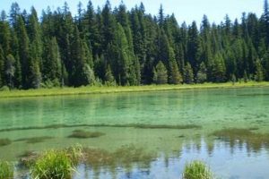 Your Guide to Clackamas Lake Campground, Oregon: Camping & More! Safem Fabrication - Precision Engineering & Custom Manufacturing Solutions Your Guide to Clackamas Lake Campground, Oregon: Camping & More! | Safem Fabrication - Precision Engineering & Custom Manufacturing Solutions