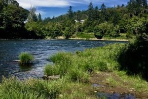 Explore Roseburg Oregon Parks: Your Green Oasis Safem Fabrication - Precision Engineering & Custom Manufacturing Solutions Explore Roseburg Oregon Parks: Your Green Oasis | Safem Fabrication - Precision Engineering & Custom Manufacturing Solutions
