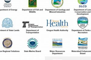 Oregon DEQ Jobs: Find Environmental Careers Now! Safem Fabrication - Precision Engineering & Custom Manufacturing Solutions Oregon DEQ Jobs: Find Environmental Careers Now! | Safem Fabrication - Precision Engineering & Custom Manufacturing Solutions