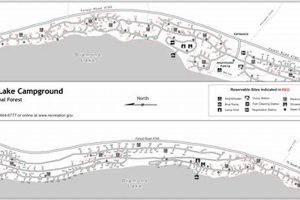 Your Guide: Diamond Lake Oregon Campground Map & Tips Safem Fabrication - Precision Engineering & Custom Manufacturing Solutions Your Guide: Diamond Lake Oregon Campground Map & Tips | Safem Fabrication - Precision Engineering & Custom Manufacturing Solutions