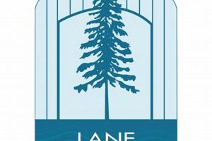 Find Jobs in Lane County, Oregon: Openings & Careers Safem Fabrication - Precision Engineering & Custom Manufacturing Solutions Find Jobs in Lane County, Oregon: Openings & Careers | Safem Fabrication - Precision Engineering & Custom Manufacturing Solutions