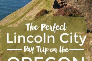 Road Trip: Portland Oregon to Lincoln City Oregon Guide Safem Fabrication - Precision Engineering & Custom Manufacturing Solutions Road Trip: Portland Oregon to Lincoln City Oregon Guide | Safem Fabrication - Precision Engineering & Custom Manufacturing Solutions