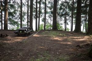 Your Guide: Dorena Lake Campground Oregon - Fun & Adventure! Safem Fabrication - Precision Engineering & Custom Manufacturing Solutions Your Guide: Dorena Lake Campground Oregon - Fun & Adventure! | Safem Fabrication - Precision Engineering & Custom Manufacturing Solutions