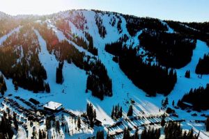 Your Guide to Anthony Lakes Ski Area, Oregon Fun Safem Fabrication - Precision Engineering & Custom Manufacturing Solutions Your Guide to Anthony Lakes Ski Area, Oregon Fun | Safem Fabrication - Precision Engineering & Custom Manufacturing Solutions
