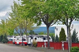 Sutherlin Oregon RV Parks: Your Guide to Camping Bliss Safem Fabrication - Precision Engineering & Custom Manufacturing Solutions Sutherlin Oregon RV Parks: Your Guide to Camping Bliss | Safem Fabrication - Precision Engineering & Custom Manufacturing Solutions