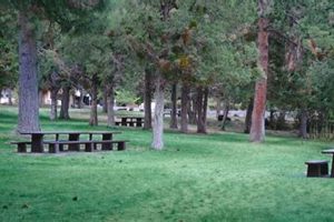 Explore Sawyer Park Bend Oregon: Your Outdoor Oasis Safem Fabrication - Precision Engineering & Custom Manufacturing Solutions Explore Sawyer Park Bend Oregon: Your Outdoor Oasis | Safem Fabrication - Precision Engineering & Custom Manufacturing Solutions