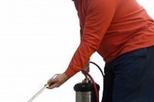 Rodent Control Salem Oregon Safem Fabrication - Precision Engineering & Custom Manufacturing Solutions Rodent Control Salem Oregon | Safem Fabrication - Precision Engineering & Custom Manufacturing Solutions
