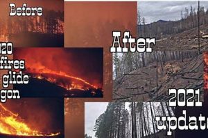Diamond Lake Oregon Fire: Prevention & Aftermath Safem Fabrication - Precision Engineering & Custom Manufacturing Solutions Diamond Lake Oregon Fire: Prevention & Aftermath | Safem Fabrication - Precision Engineering & Custom Manufacturing Solutions