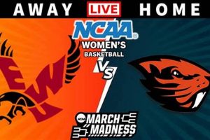 Eastern WA vs OSU: Which Pacific Northwest School Wins? Safem Fabrication - Precision Engineering & Custom Manufacturing Solutions Eastern WA vs OSU: Which Pacific Northwest School Wins? | Safem Fabrication - Precision Engineering & Custom Manufacturing Solutions