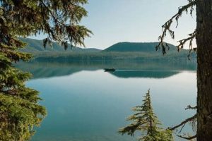 Your East Lake Oregon Weather Guide: Forecasts & Tips Safem Fabrication - Precision Engineering & Custom Manufacturing Solutions Your East Lake Oregon Weather Guide: Forecasts & Tips | Safem Fabrication - Precision Engineering & Custom Manufacturing Solutions