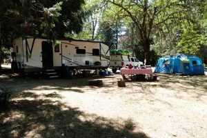 Your Guide to Stewart State Park Campground Oregon Adventures Safem Fabrication - Precision Engineering & Custom Manufacturing Solutions Your Guide to Stewart State Park Campground Oregon Adventures | Safem Fabrication - Precision Engineering & Custom Manufacturing Solutions
