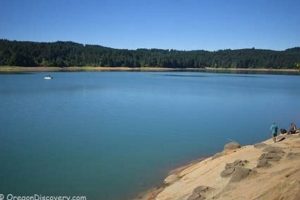 Your Guide: Henry Hagg Lake Oregon Fishing + Tips! Safem Fabrication - Precision Engineering & Custom Manufacturing Solutions Your Guide: Henry Hagg Lake Oregon Fishing + Tips! | Safem Fabrication - Precision Engineering & Custom Manufacturing Solutions
