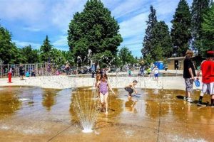 Your Guide to Water Parks in Medford, Oregon | Fun! Safem Fabrication - Precision Engineering & Custom Manufacturing Solutions Your Guide to Water Parks in Medford, Oregon | Fun! | Safem Fabrication - Precision Engineering & Custom Manufacturing Solutions