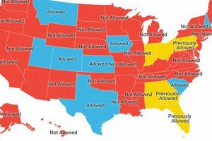 Common Law Marriage: Is Oregon a Recognition State? Guide Safem Fabrication - Precision Engineering & Custom Manufacturing Solutions Common Law Marriage: Is Oregon a Recognition State? Guide | Safem Fabrication - Precision Engineering & Custom Manufacturing Solutions