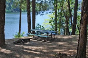 Plan Your Lake Selmac Oregon Camping Trip! Safem Fabrication - Precision Engineering & Custom Manufacturing Solutions Plan Your Lake Selmac Oregon Camping Trip! | Safem Fabrication - Precision Engineering & Custom Manufacturing Solutions