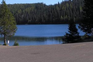 Your Jubilee Lake Campground Oregon Getaway! Safem Fabrication - Precision Engineering & Custom Manufacturing Solutions Your Jubilee Lake Campground Oregon Getaway! | Safem Fabrication - Precision Engineering & Custom Manufacturing Solutions