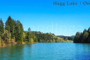 Plan Your Trip: Hagg Lake Oregon Weather Forecast & Activities Safem Fabrication - Precision Engineering & Custom Manufacturing Solutions Plan Your Trip: Hagg Lake Oregon Weather Forecast & Activities | Safem Fabrication - Precision Engineering & Custom Manufacturing Solutions