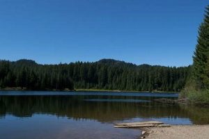Exploring Hemlock Lake, Oregon: A Hidden Gem Safem Fabrication - Precision Engineering & Custom Manufacturing Solutions Exploring Hemlock Lake, Oregon: A Hidden Gem | Safem Fabrication - Precision Engineering & Custom Manufacturing Solutions