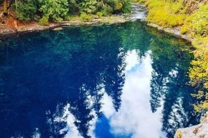 Explore Blue River Lake, Oregon: A Gem of the Cascades Safem Fabrication - Precision Engineering & Custom Manufacturing Solutions Explore Blue River Lake, Oregon: A Gem of the Cascades | Safem Fabrication - Precision Engineering & Custom Manufacturing Solutions