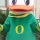 Oregon Ducks: Iconic Mascot Costume &amp; More! | Living in Oregon: Moving Tips, Cost of Living & Best Cities