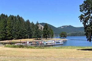 Visit Baker Bay Park Oregon: Your Coastal Escape Safem Fabrication - Precision Engineering & Custom Manufacturing Solutions Visit Baker Bay Park Oregon: Your Coastal Escape | Safem Fabrication - Precision Engineering & Custom Manufacturing Solutions