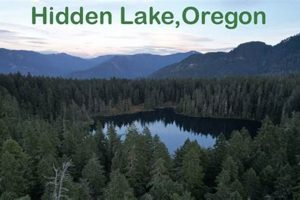 Discover the Secret: Hidden Lake Oregon Paradise Safem Fabrication - Precision Engineering & Custom Manufacturing Solutions Discover the Secret: Hidden Lake Oregon Paradise | Safem Fabrication - Precision Engineering & Custom Manufacturing Solutions