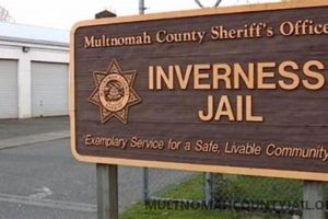 OR Inmate Lookup: Multnomah County Inmate Search Made Easy Safem Fabrication - Precision Engineering & Custom Manufacturing Solutions OR Inmate Lookup: Multnomah County Inmate Search Made Easy | Safem Fabrication - Precision Engineering & Custom Manufacturing Solutions
