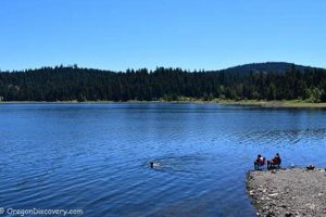 Hyatt Lake, OR: Plan Your Trip with Real-Time Weather Safem Fabrication - Precision Engineering & Custom Manufacturing Solutions Hyatt Lake, OR: Plan Your Trip with Real-Time Weather | Safem Fabrication - Precision Engineering & Custom Manufacturing Solutions